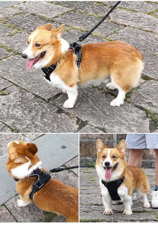 PawGuard Dog Harness No Pull Breathable Reflective Pet Harness Vest